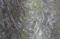 Blakeley fibreglass roof work